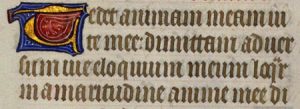 Texto original en Gótica Textura Quadrata siglo XV